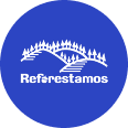 Premio al proyecto de Reforestación Urbana 2018 (Entregado por Reforestemos México)