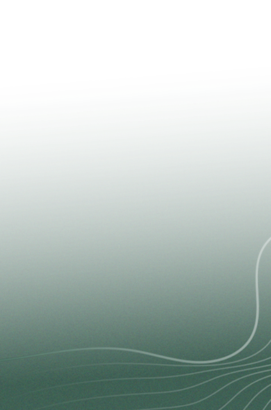 Crónicas de La Mexicana